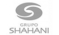 Grupo SHAHANI